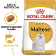 BHN Maltese 1.5kg